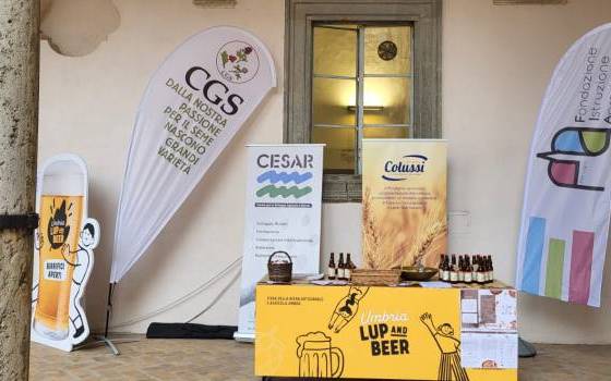 LA BIRRA A BASE DI TEFF: UNO DEI PRIMI RISULTATI DEL PROGETTO PSR TEFF